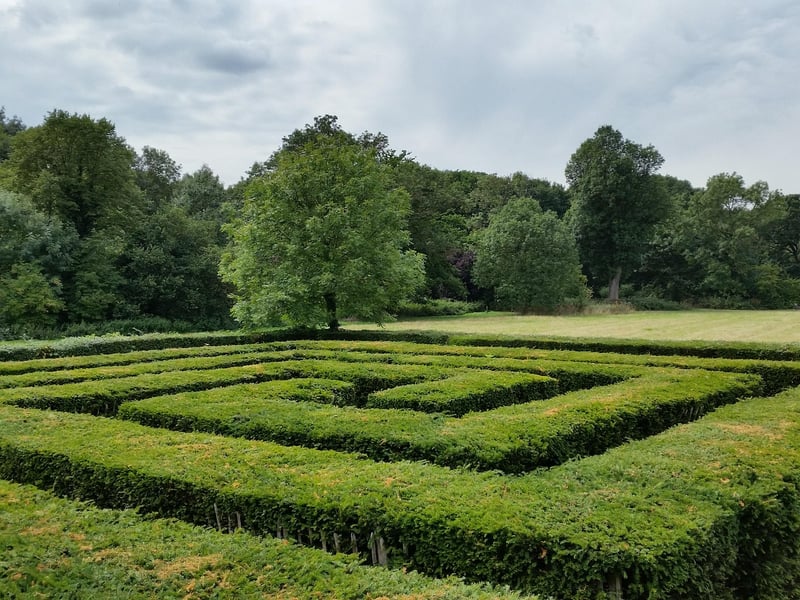 The Maze